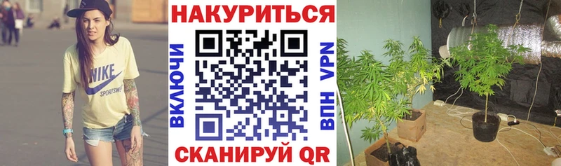 Купить наркотики сайты Лесозаводск Кокаин  МЕФ  Амфетамин  Бошки Шишки  ГАШИШ 