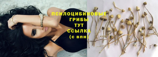 jwh Баксан